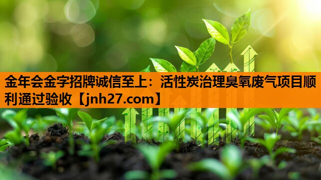金年会金字招牌诚信至上：活性炭治理臭氧废气项目顺利通过验收
