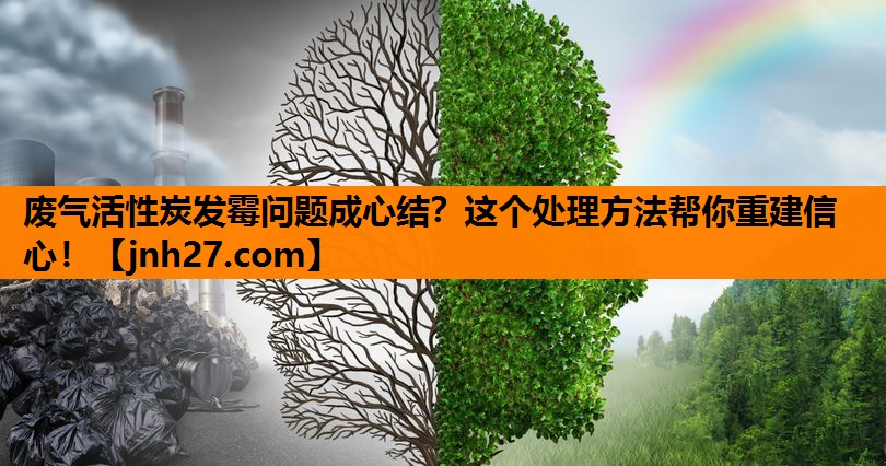 废气活性炭发霉问题成心结？这个处理方法帮你重建信心！
