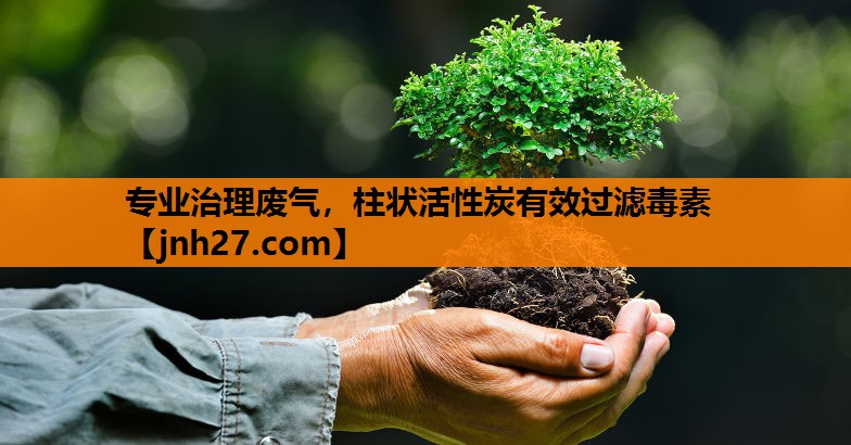 专业治理废气，柱状活性炭有效过滤毒素