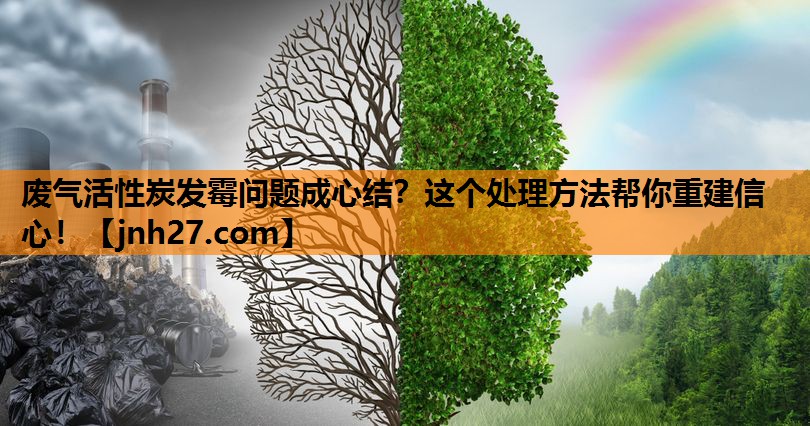 废气活性炭发霉问题成心结？这个处理方法帮你重建信心！
