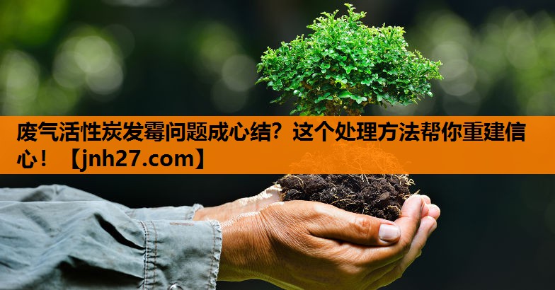 废气活性炭发霉问题成心结？这个处理方法帮你重建信心！